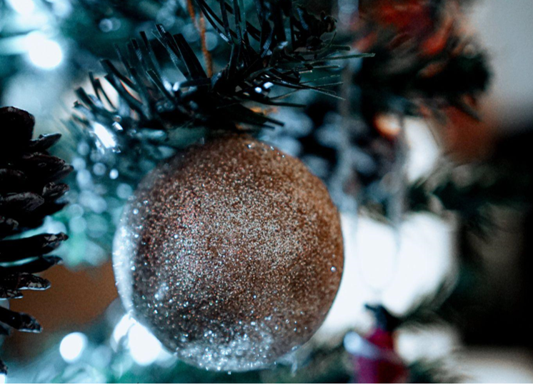 Magical Memories with a Christmas Tree with Lights